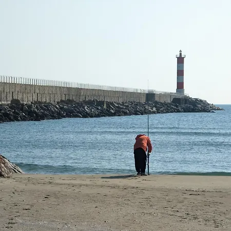 T2 Proche A Port-la-nouvelle, Terrasse Et Parking Inclus - Fr-1-797-29 Port-la-Nouvelle